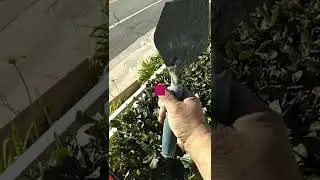 cuchara m&aacute;gica de alba&ntilde;il
