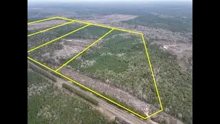 Various Tracts | Highway 190 | Newton County, Texas