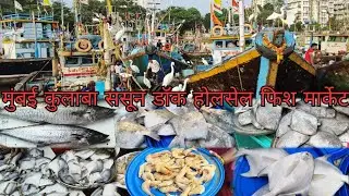Mumbai's Oldest And Biggest Wholesale Fish Market/मुंबई कुलाबा ससून डॉक होलसेल फिश मार्केट