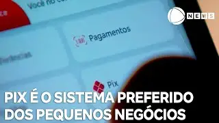 Pix: modelo de pagamento &eacute; o preferido dos pequenos neg&oacute;cios