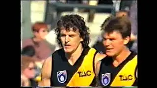 1995 AFL Round 9 Sydney vs Richmond at The SCG