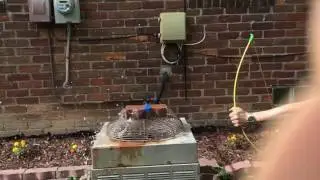 Arrow vs. water balloon, slow motion