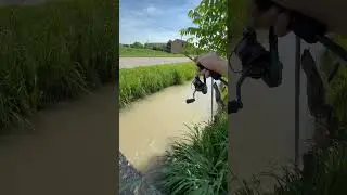 #spinning #fishing #carpfishing #carp #lifestyle #fish #viral