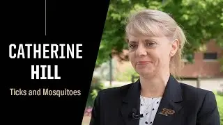 Purdue Expert: Ticks and Mosquitoes