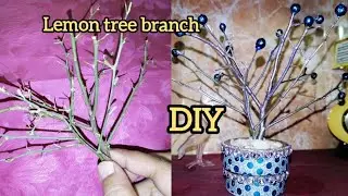 DIY with tree branches | dry tree branches craft idea
