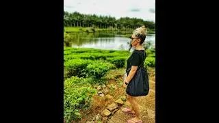 Trip to Bois Cheri & Grand Basin, Mauritius by Insta360 one x2