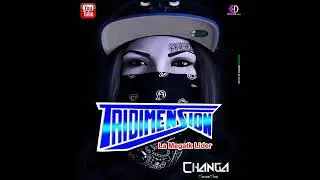CHANGA TRIDIMENSION