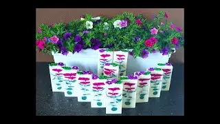 Květinkov&eacute; m&yacute;d&eacute;lko / Hanger flower soap