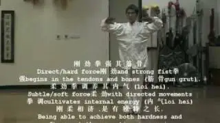 Master Chen Yong Fa teaching DVD series  Choy Lee Fut - Wu Chi Kuen 無 极 拳片段