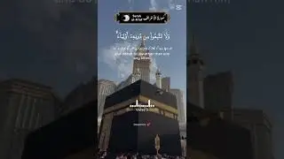 Surah Al Araaf Ayat 03 #islamicscripture #islamicscripture #talwatquran #love #islamictext #shairi