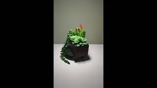 2026 Trending Artificial Succulent & Cactus Planters | Best-Selling Faux Plant Decor