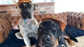 There is a New Sheriff in Town