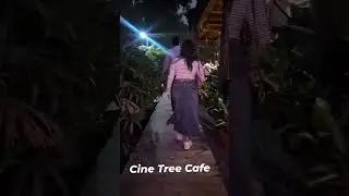 Delhi Hidden Gem and Open air Cafe- Cine tree