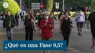 &iquest;En qu&eacute; consiste la Fase 0,5?