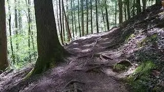 Fighting Creek Trail - Great Smoky Mountains National Park