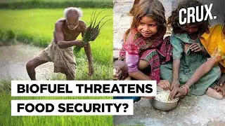 Why India&rsquo;s Plan To Cut Fossil Fuel Use & Promote Ethanol Could Push Up Your Food Bill