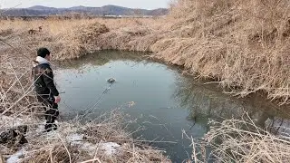 영하 20도에도 얼지 않는 신비한 둠벙에 통발을 놓았는데.. 이럴수가..