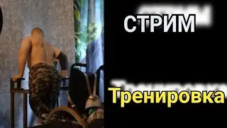 Стрим тренировка/Брусья с весом/Жим лёжа/Молотки/Инвалид 1-й группы