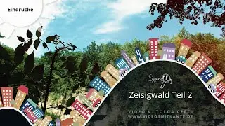 Der Zeisigwald - Einmal durchatmen. (Wald-Tour)