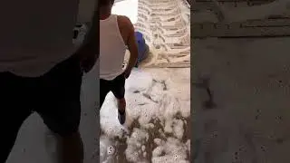 Carpet Washing: Unexpected Camera Finale
