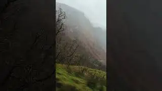 Scotland# natuture#