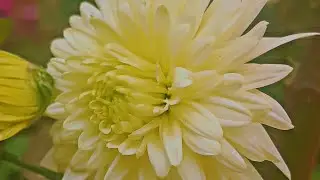 💐💐🍁🍁🍁Good morning 🍁🍁🍁💐💐