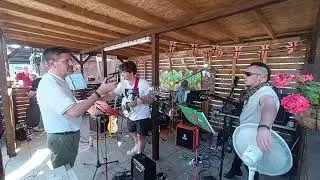 The Greyhounds - Live at Ratling Social Club August 2025