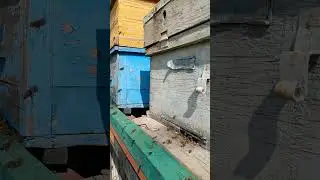 30 января 2026 г.