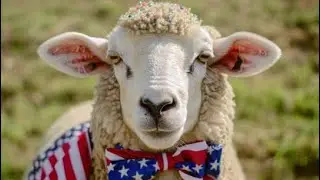 It&rsquo;s that time again let&rsquo;s celebrate our imaginary freedom!