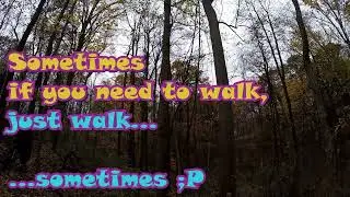 Potato Creek State Park Mountain Biking Trails - St. Joseph Co. - Indiana