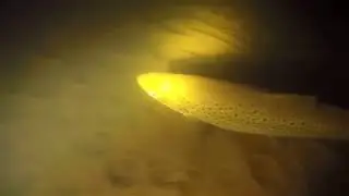 Подводная охота на лосося в Латвии.