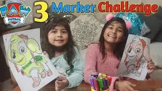 PAW PATROL 3 MARKER CHALLENGE | WITH ZYNZOE