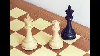 Comment apprendre les règles du jeu d échecs à son enfant l'échec et mat