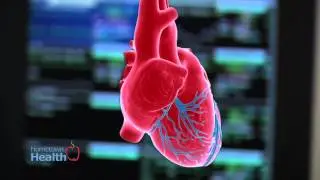 Florida Hospital Waterman Heart Center - Smoking and Heart Disease