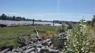 It's Quantum, Thunder was Running Good Today , Along the Mighty Fraser River .