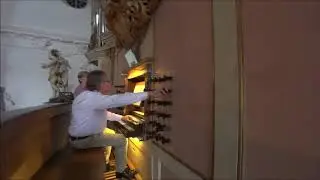 J.S. Bach: Fantasia et Fuga in c BWV 537. Pieter Dirksen (Grauhof)