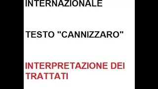 LEZIONI DI DIRITTO INTERNAZIONALE 18 di 19 