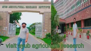 Visit Ayub agricultural research