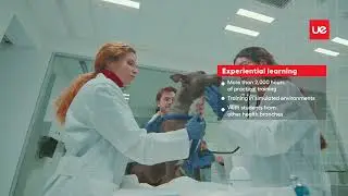 Veterinary degree