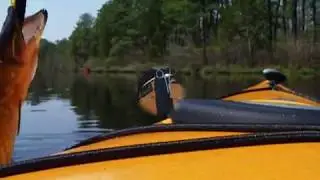 Wilderness Systems Tsunami 125 Kayak