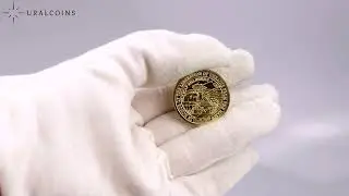 Силенд 10 долларов 2023 год - САУ КОАЛИЦИЯ - СВ