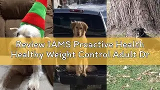 Review IAMS Proactive Health Healthy Weight Control Adult Dry Dog Food with Real Chicken, 29.1 lb. B