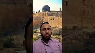 Bit Al Moqdas falasteen HMY23 Official