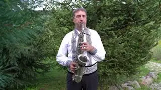 Ioan Raulea - Brauri Banatene, colaj 2022