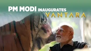 PM Narendra Modi Inaugurates The Wildlife Rescue, Rehabilitation, And Conservation Centre - Vantara