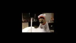 Chef PeePee Song #sml