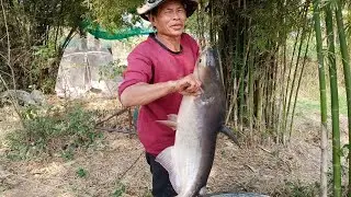 ปลาตัวใหญ่โตเท่าธิดาลาว