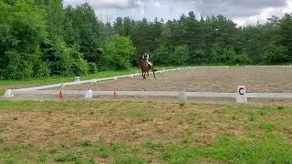 Masters Test A Bitless Long Arena