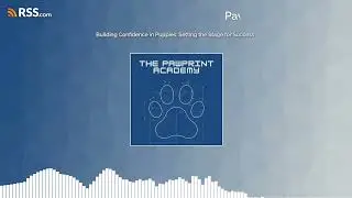 Building Confidence in Puppies: Setting the Stage for Success