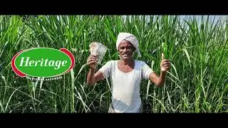 Welcome Message | Heritage VET+ (Kannada - ಕನ್ನಡ)